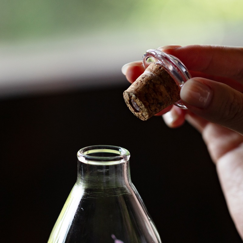 Garrafa de Vidro Borossilicato - Cold Brew Bottle avaliação e preço