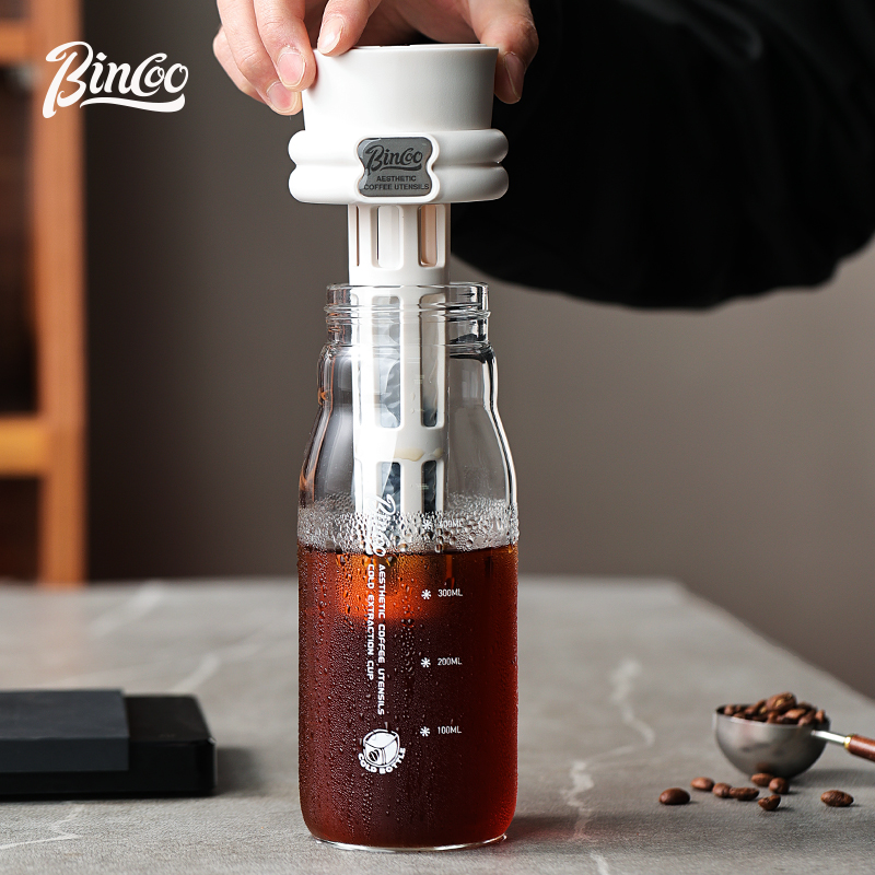 Bincoo 600ml verão fermentação - Cold Brew Bottle avaliação e preço